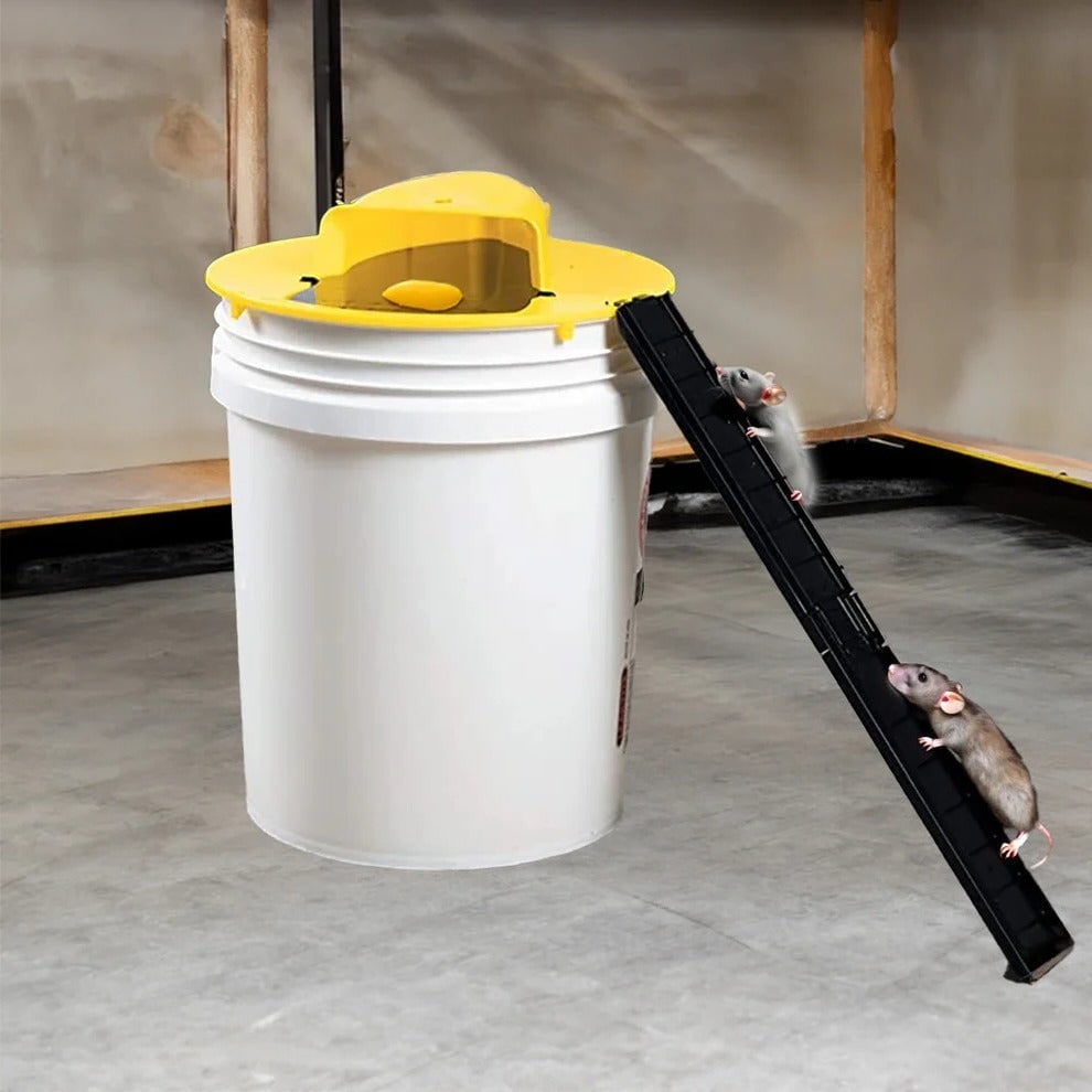 Bucket Mouse Trap with Automatic Reset and Detachable Ramp for Humane Live Catching - Image 1