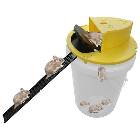 Bucket Mouse Trap with Automatic Reset and Detachable Ramp for Humane Live Catching - Image 5