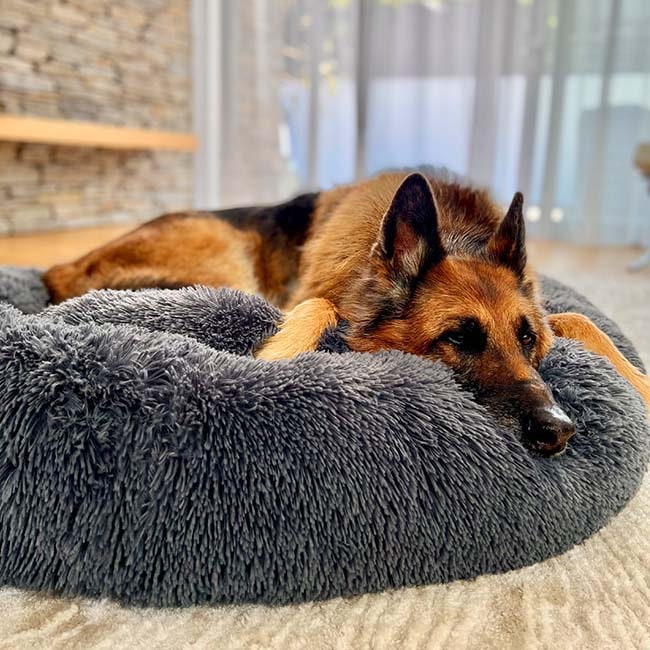Calming Plush Donut Dog Bed with Raised Rim and Sunken Center Cushion - Image 1
