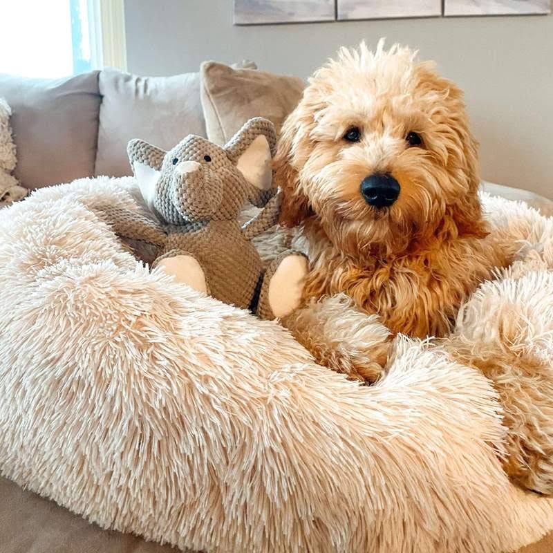 Calming Plush Donut Dog Bed with Raised Rim and Sunken Center Cushion - Image 11