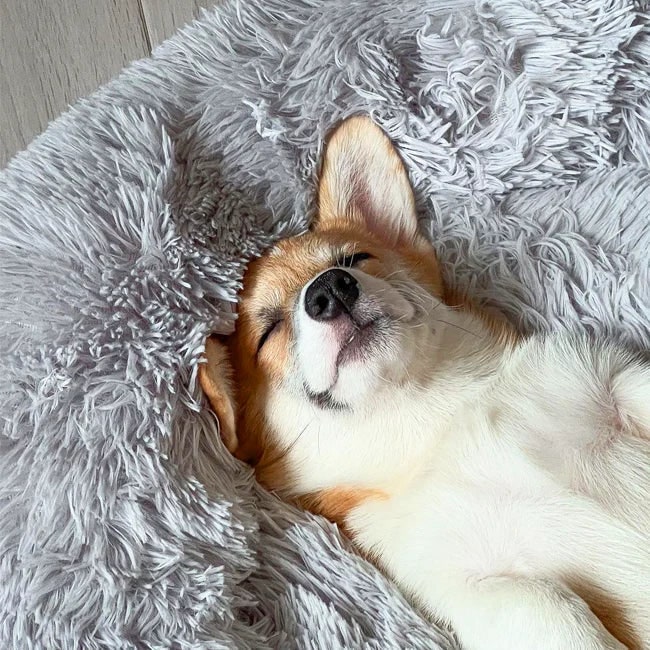 Calming Plush Donut Dog Bed with Raised Rim and Sunken Center Cushion - Image 3