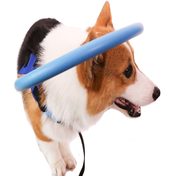 Dog Harness with Protective Bumper Ring and Quick-Release Buckle for Blind - Image 1