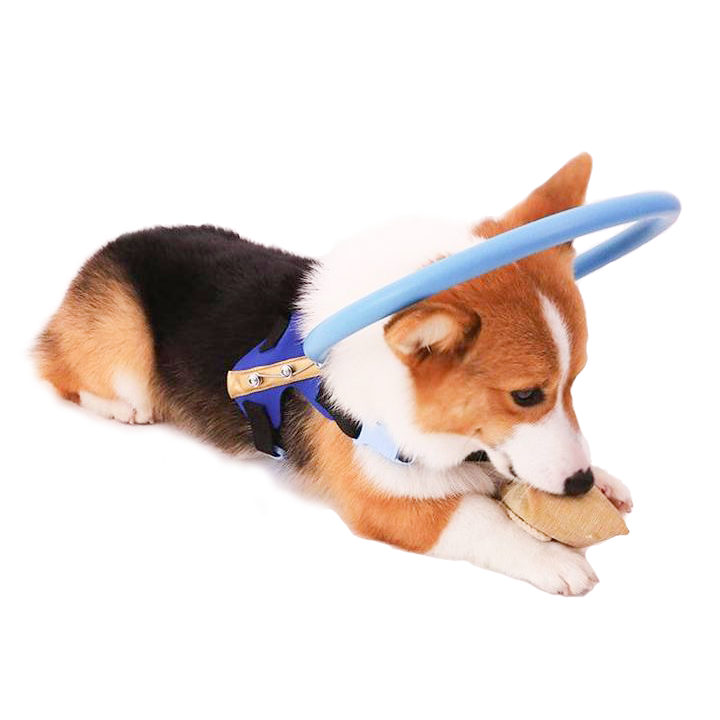 Dog Harness with Protective Bumper Ring and Quick-Release Buckle for Blind - Image 2