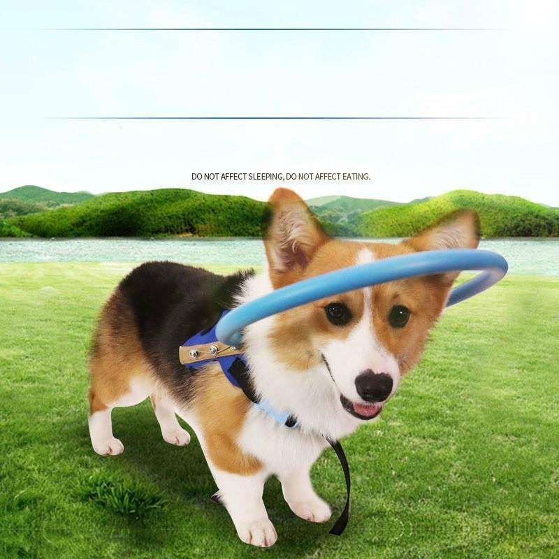 Dog Harness with Protective Bumper Ring and Quick-Release Buckle for Blind - Image 3