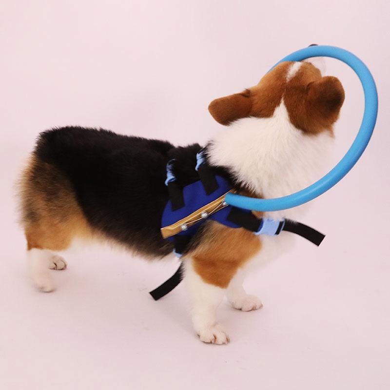 Dog Harness with Protective Bumper Ring and Quick-Release Buckle for Blind - Image 4
