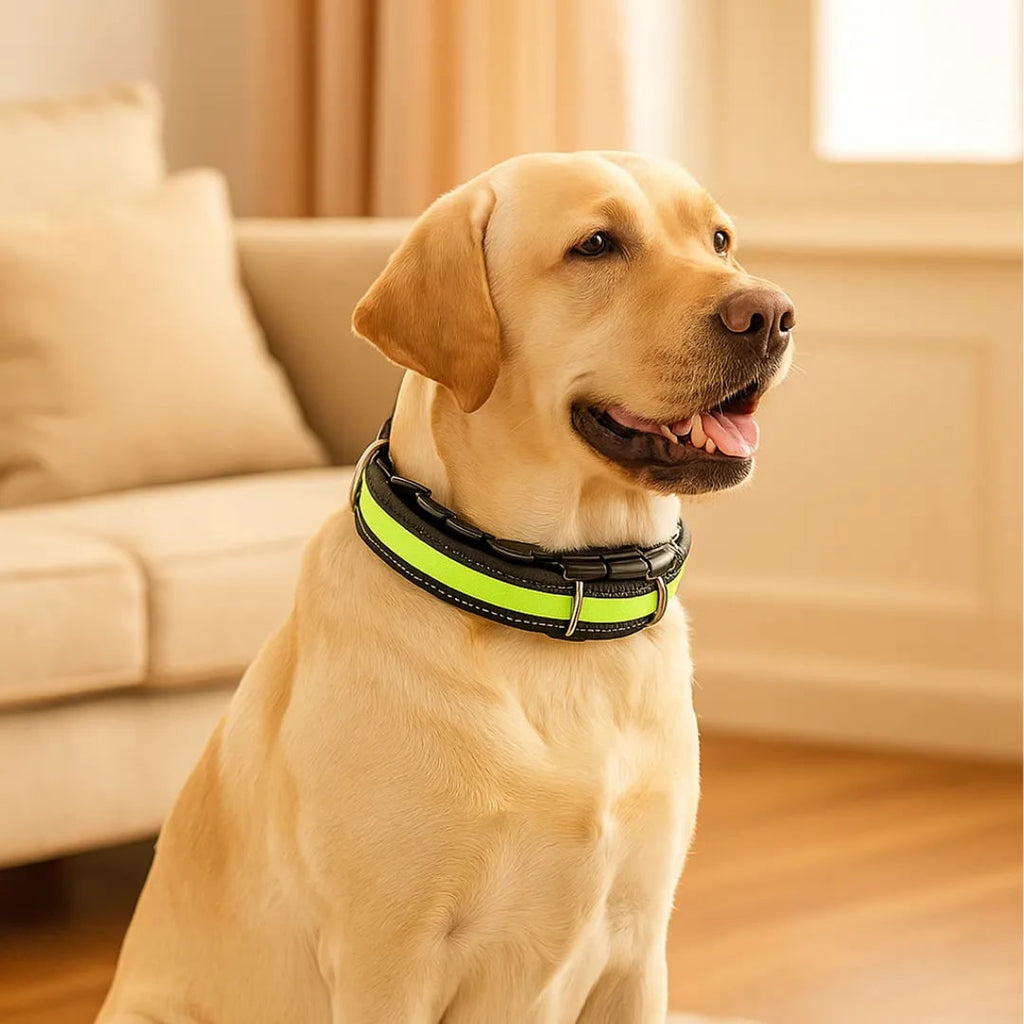 Dog Prong Training Collar with Reflective Cover and Quick-Release Buckle - Image 2
