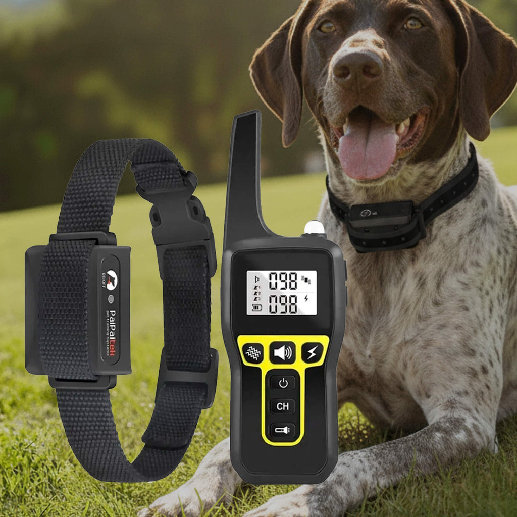 Dog Training Collar with Remote Control and Waterproof Design for Long-Range - Image 12