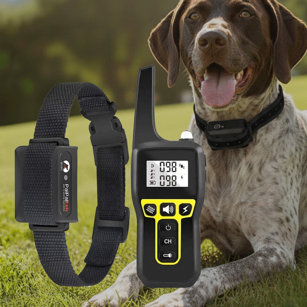 Dog Training Collar with Remote Control and Waterproof Design for Long-Range - Image 12