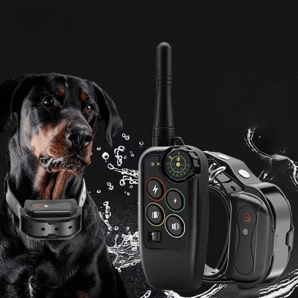 Dog Training Collar with Remote Control Waterproof Electronic E-Collar Receiver and Adjustable Strap - Image 2