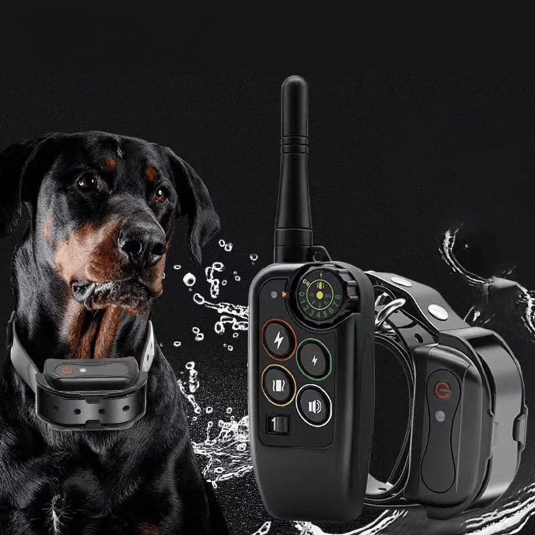 Dog Training Collar with Remote Control Waterproof Electronic E-Collar Receiver and Adjustable Strap - Image 2