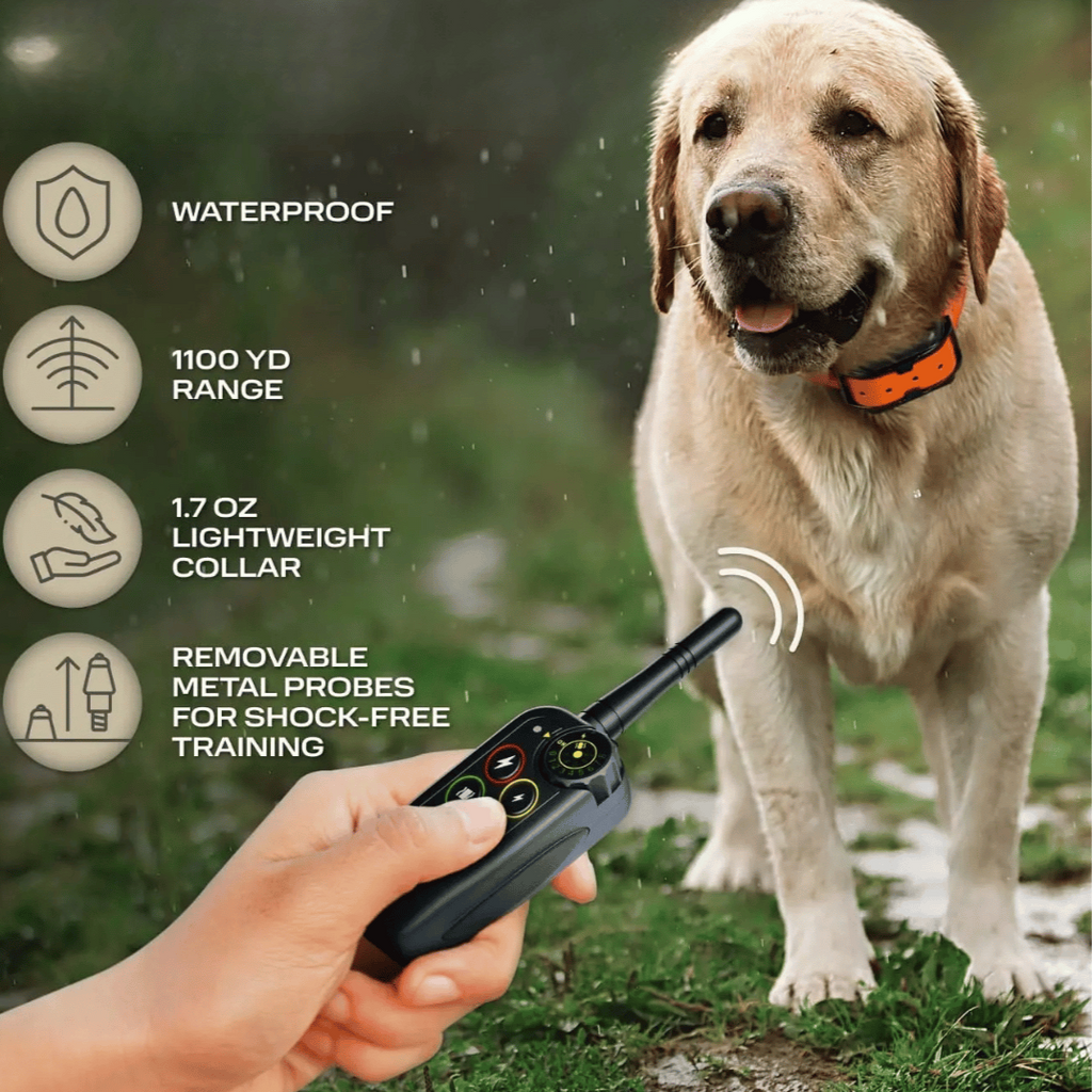Dog Training Collar with Remote Control Waterproof Electronic E-Collar Receiver and Adjustable Strap - Image 5