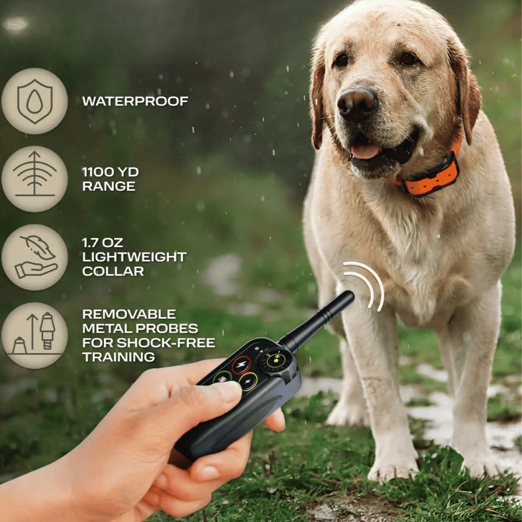 Dog Training Collar with Remote Control Waterproof Electronic E-Collar Receiver and Adjustable Strap - Image 5