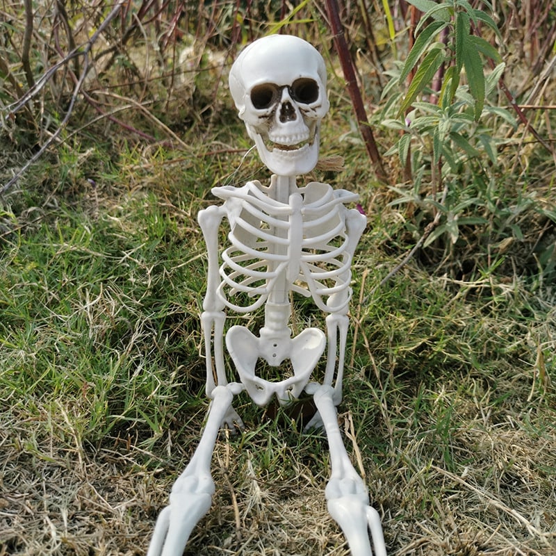 Halloween Skeleton Decoration Posable Plastic Prop with Articulated Joints - Image 1