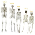 Halloween Skeleton Decoration Posable Plastic Prop with Articulated Joints - Image 3