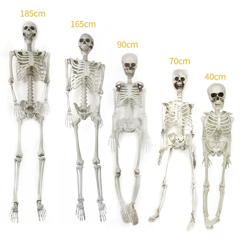 Halloween Skeleton Decoration Posable Plastic Prop with Articulated Joints - Image 3