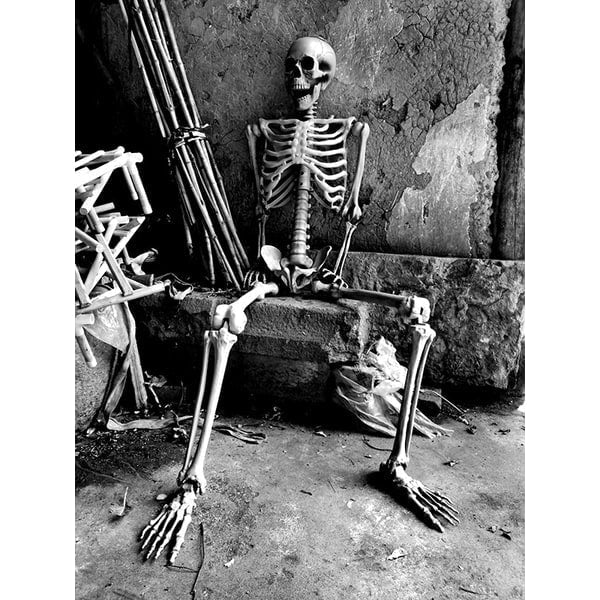 Halloween Skeleton Decoration Posable Plastic Prop with Articulated Joints - Image 4