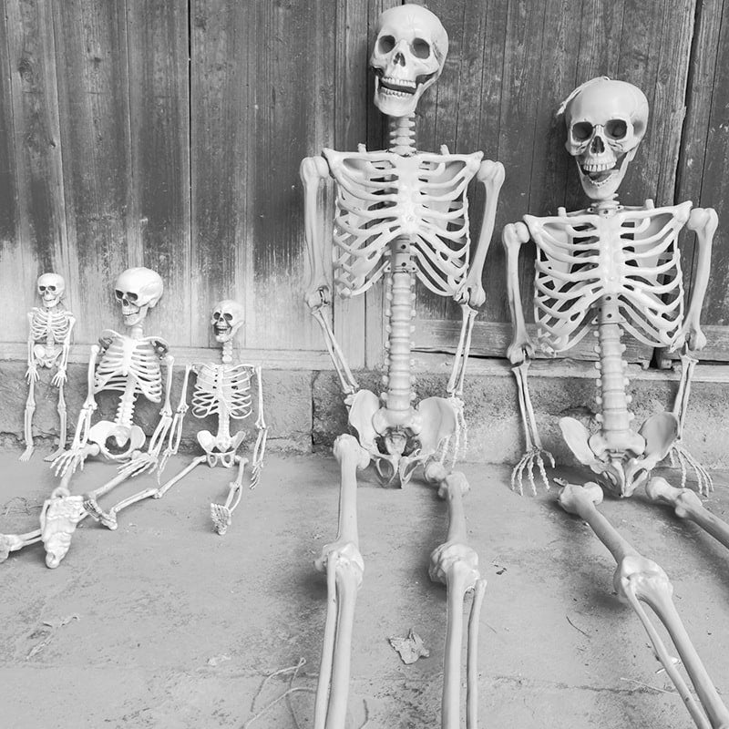 Halloween Skeleton Decoration Posable Plastic Prop with Articulated Joints - Image 5