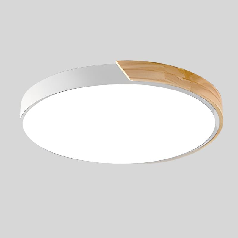 LED Ceiling Light Fixture Flush Mount Round Modern Slim Design for Bedroom Hallway - Image 17
