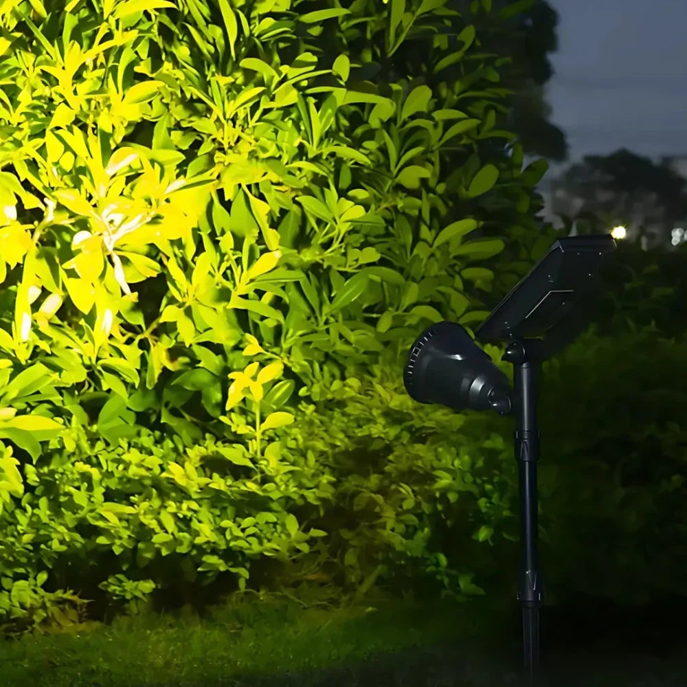Outdoor Solar Lights with Adjustable Spotlight and Landscape Lighting - Image 15