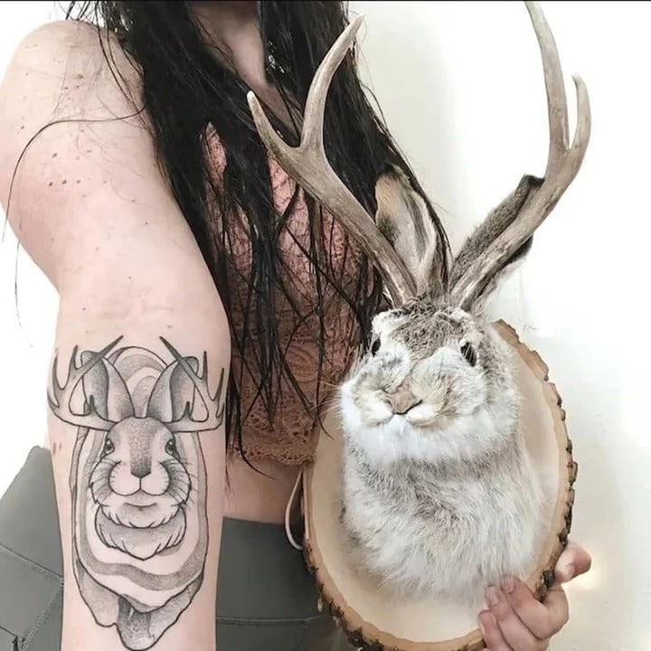 Taxidermy Jackalope Head Wall Mount on Wooden Plaque with Antlers - Image 3