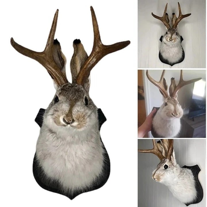 Taxidermy Jackalope Head Wall Mount on Wooden Plaque with Antlers - Image 4