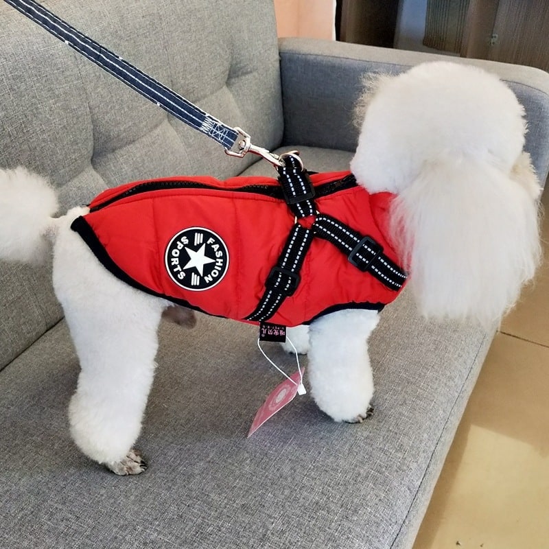 Winter Dog Jacket with Integrated Harness Waterproof Padded Puffer Vest and Reflective Straps - Image 10