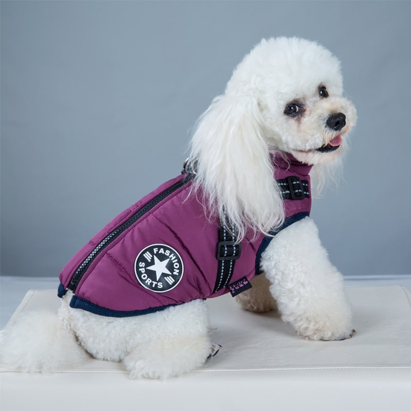 Winter Dog Jacket with Integrated Harness Waterproof Padded Puffer Vest and Reflective Straps - Image 8