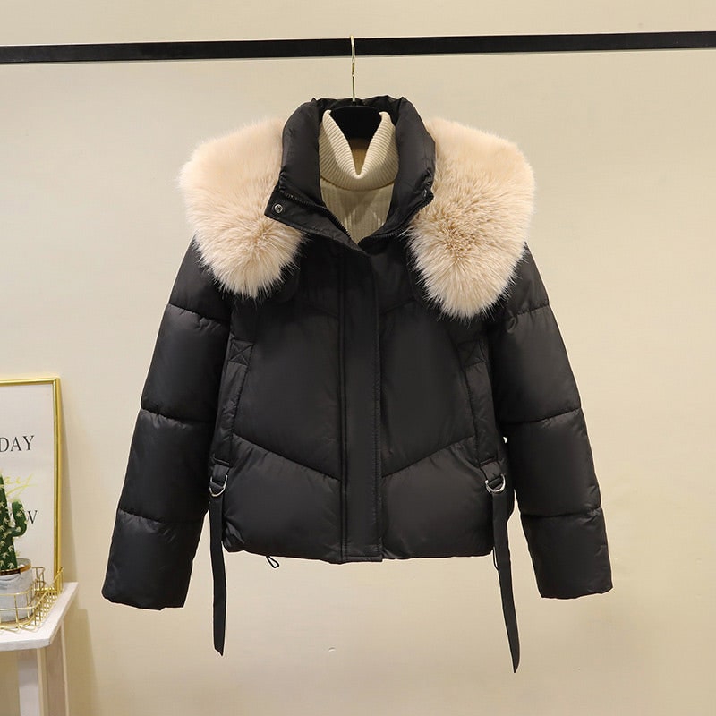 Women's Cropped Puffer Jacket with Faux Fur Stand Collar and Zip Front - Image 2